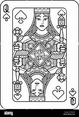 Spades Queen Card Playing Alamy sketch template