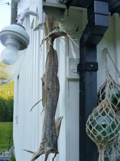 flittiglise pinse i sydenvær