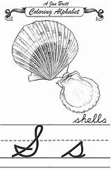 Shells Cursive Janbrett Alphabet Coloring Click Subscription Downloads sketch template