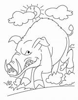 Wild Coloring Pages Pig Boar Getdrawings Anguish sketch template