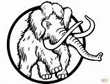 Mamut Mammut Disegno Mammoth Peloso Colorate Fresco Elephants Stampare Włochaty Drukuj sketch template