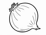 Onion Coloring Outline Pages Drawing Kids Onions Easy Foodhero Comments Choose Board sketch template