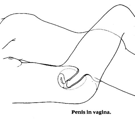 Vagina Pagina Description A Line Drawing Depicting