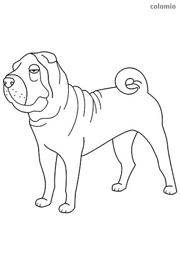 dogs coloring pages  printable dog coloring sheets page