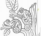 Lizard Pages Chameleon Collegesportsmatchups Mandala sketch template
