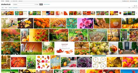 excellent search  professional microstock forum