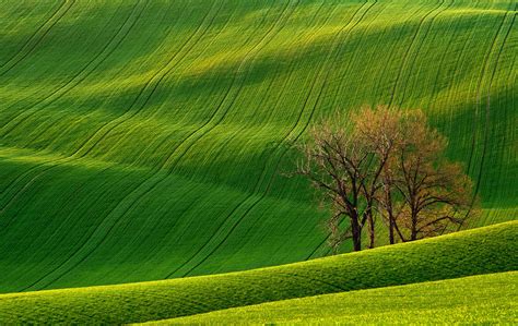 Rolling Hills Czech Republic 83 Unreal Places You