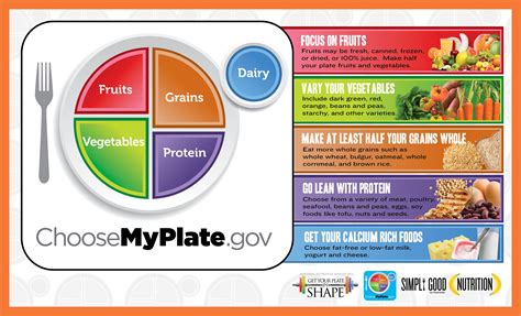 choose myplate food guide printable nutriton   important read