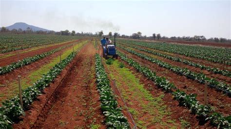 small farms  economical option   africa