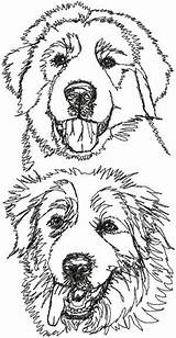 Pyrenees Great Embroidery Designs Advanced Dog Set Drawing Machine sketch template