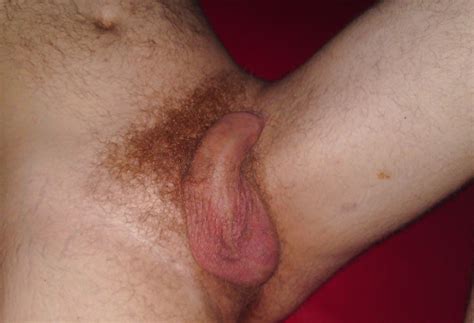 Big Soft Uncut Hairy White Cock 19 Pics Xhamster