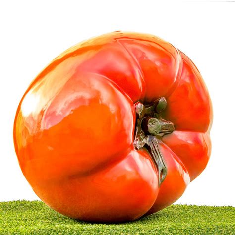 large tomato catawiki