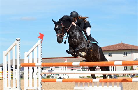4256x2832 hd widescreen wallpaper show jumping coolwallpapers me
