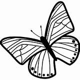 Butterfly Pattern Coloring Pages Insect Vlinder Voor Drawing Clipart Vector Colouring Wings Top Choose Board Designs sketch template
