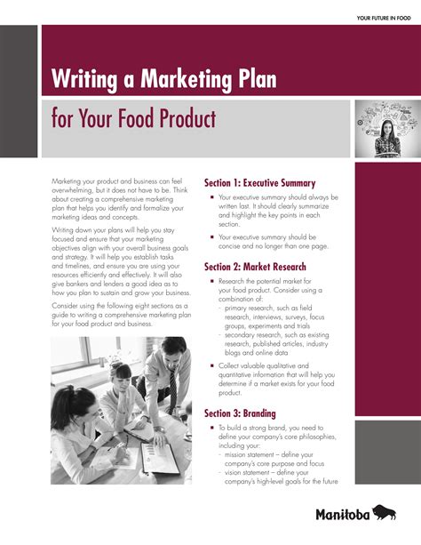 product launch marketing plan  examples format  examples