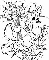 Daisy Coloring Duck Pages Disney Donald Flowers Print Color Colouring Kids Garden Picking Printable Ausmalbilder Sheet Para Coloriage Katrien Pato sketch template