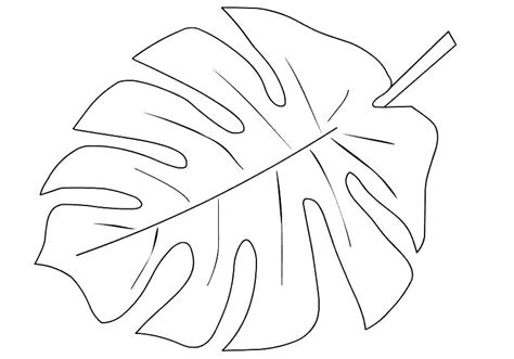 coloring pages palm leaf coloring page
