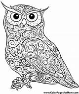 Coloring Owl Pages Owls Print Mandala Adult Adults Baby Printable Difficult Animals Horned Colouring Flying Cute Drawing Great Color Screech sketch template