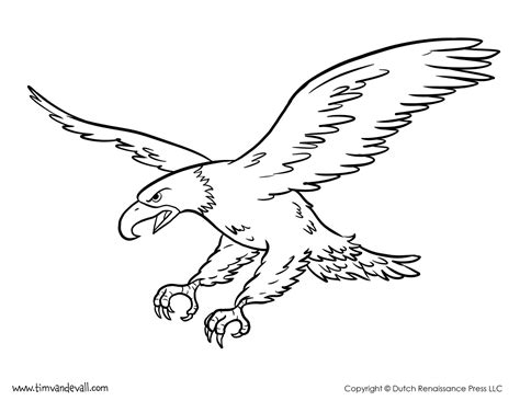 bald eagle coloring page tim van de vall