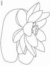 Coloring Flower Pages Lotus India Kids Countries Print Drawing Flowers Colouring Printable Easily Book Dancer Library Clipart Popular Labels sketch template