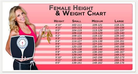 female height healthy weight chart height weight charts food and weight loss pinterest