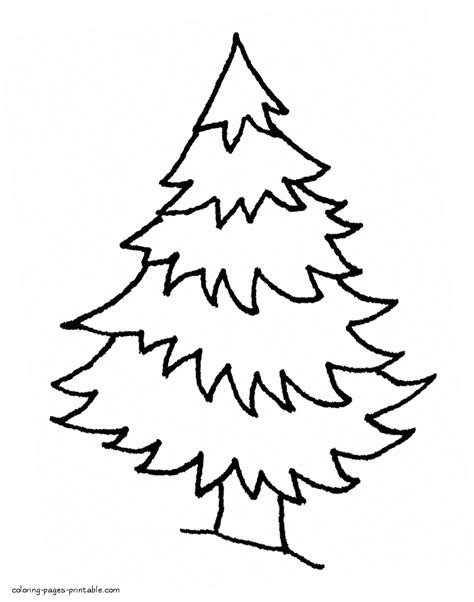 spruce   winter forest coloring page coloring pages printablecom