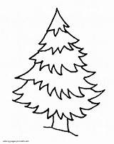 Coloring Pages Tree Winter Spruce Forest Evergreen Printable Template Christmas Print Printables Holiday sketch template