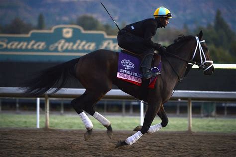 breeders cup  juvenile fillies preview sbnationcom