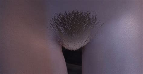 Can This Shine Be Removed From Sos 3d Pubic Hair