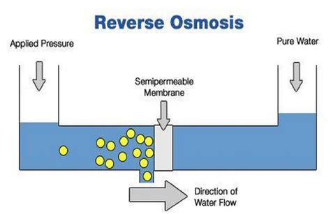 reverse osmosis belajar