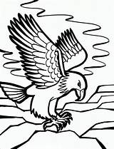 Eagle Bald sketch template