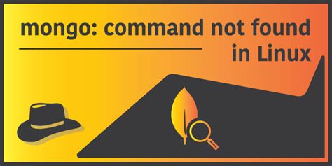 Fix ‘mongo Command Not Found In Linux – Programmer Hat