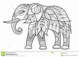 Elephant Coloring Adult Vector Illustration Preview Coloration Trend Elements Decorative Background Fashion Bigstock sketch template