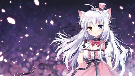 Anime Cat Wallpaper 63 Images