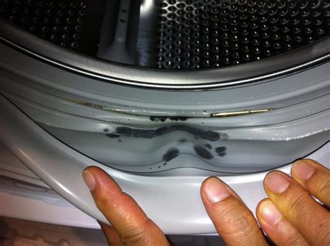 steps  front loading washing machine wont smell mold anymore tips