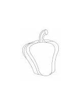 Coloring Pages Capsicum Green Pepper Bell sketch template