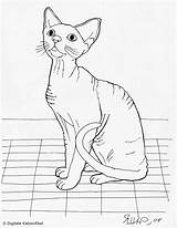 Katze Sitzende Kinderseite Digitale sketch template