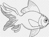 Ikan Coloring Fauna Koi Drawing Seafood Fish Animals Book Pngwing sketch template