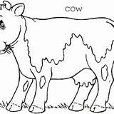 Coloring Cow Grass Eating Cows Pages Farm Animal Chewing Drawing Awesome Eat Lot Carrot Rabbits Kidsplaycolor sketch template