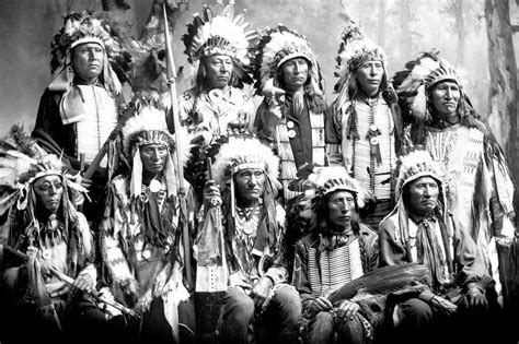 native american cree the life of the cree indians