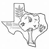 Coloring Pages Texas State California Printable Colorado Flag Sheet Print History Getcolorings Color sketch template