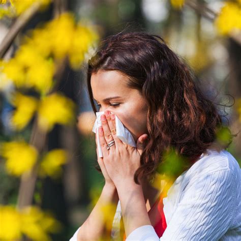 Seasonal Allergies At A Glance Nccih