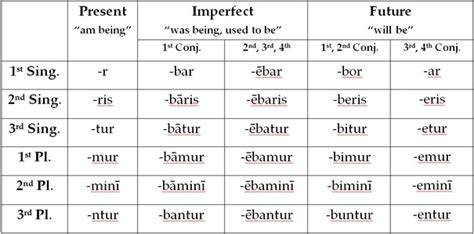 Pluperfect Tense In Latin Amature Housewives