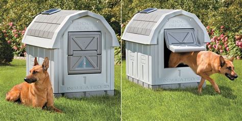 insulated dog house heated dog house outdoor winter dog house winter dog house heated