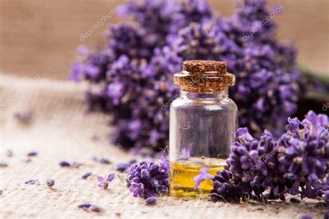 spa lavender product stock photo  habovka