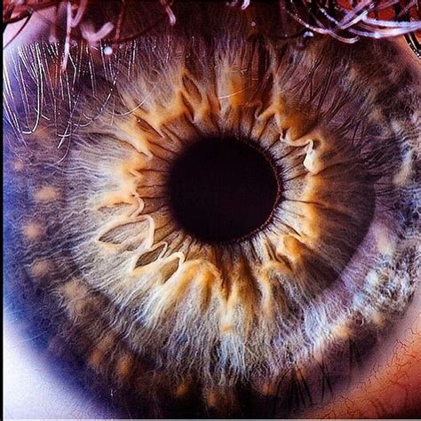ce macchina fotografica al mondo migliore dellocchio umano photo eyes iride