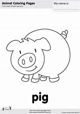 Pig Coloring Pages Farm Animal Simple Animals Worksheets Super Colouring Flashcards Ingles Preschool Drawing Kindergarten Easy Supersimplelearning Prek Para Worksheet sketch template