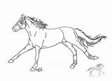 Coloring Racehorse Horse Pages Lineart Race Deviantart American Clipart Popular Friesian Library Coloringhome sketch template