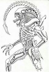 Alien Xenomorph Predator Colorare Aliens Xenomorfo Adult Ausmalen 1856 Comission Draws Pixgood Colorier Espejo Ission öffnen Francesco Terminator Biagini Judgement sketch template