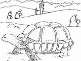 Kura Tortoise Mewarnai Buku Gurun sketch template